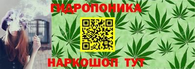 дживик Донской