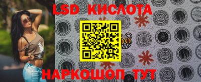 прущие грибы Донецк