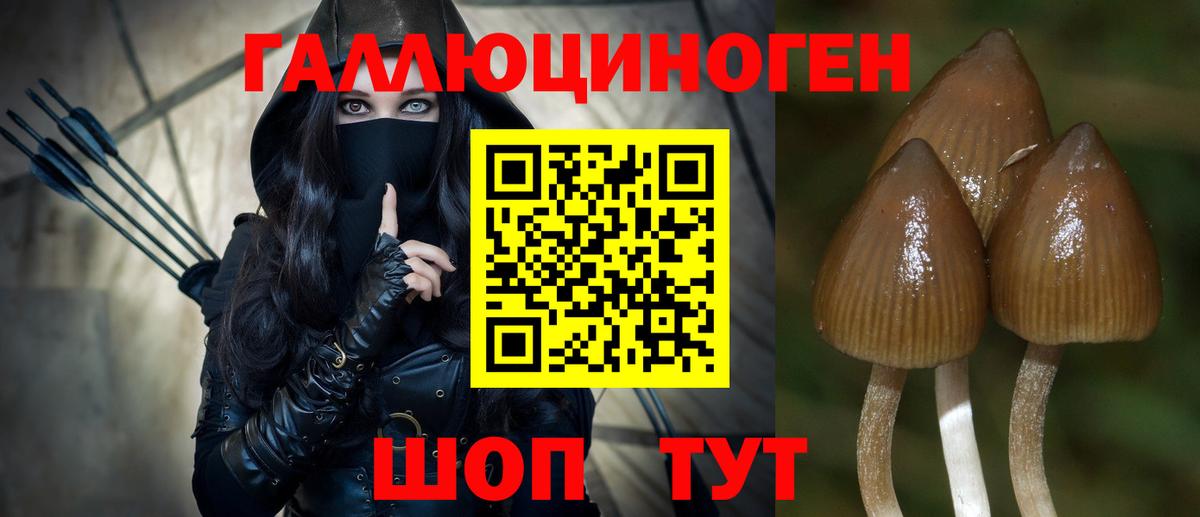 Псилоцибиновые грибы GOLDEN TEACHER  Вход с VPN  Муром 