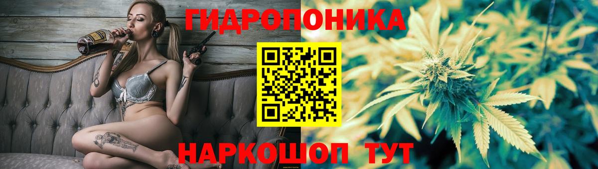 МАРИХУАНА семена  МАРИХУАНА планчик  Конопля семена  Вход с VPN  Муром 